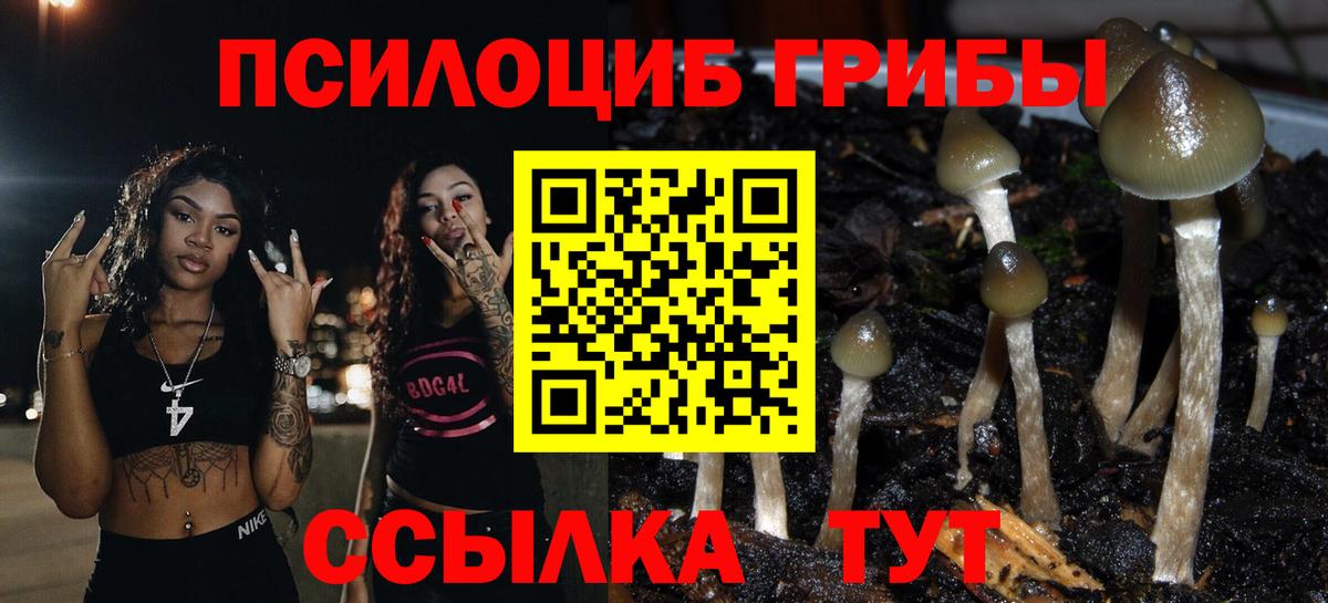 Псилоцибиновые грибы Cubensis Ханты-Мансийск